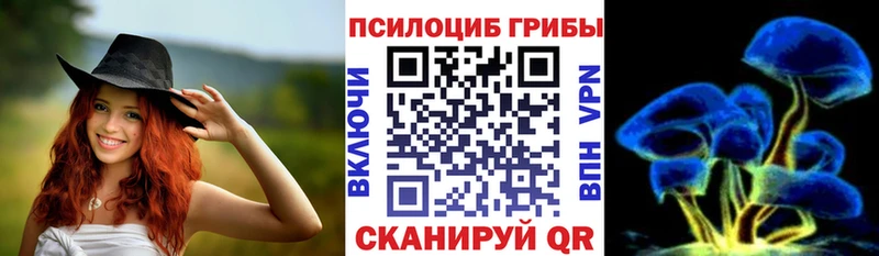 Псилоцибиновые грибы мухоморы  хочу наркоту  darknet телеграм  Островной 