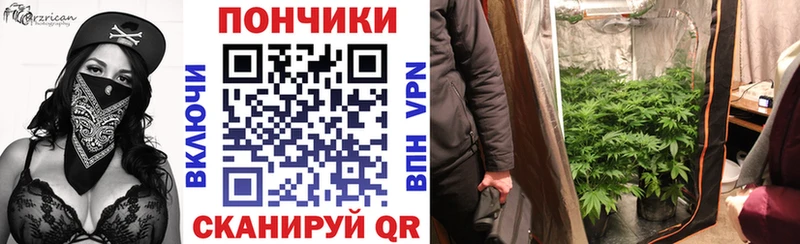 Каннабис Bruce Banner  закладки  Островной 